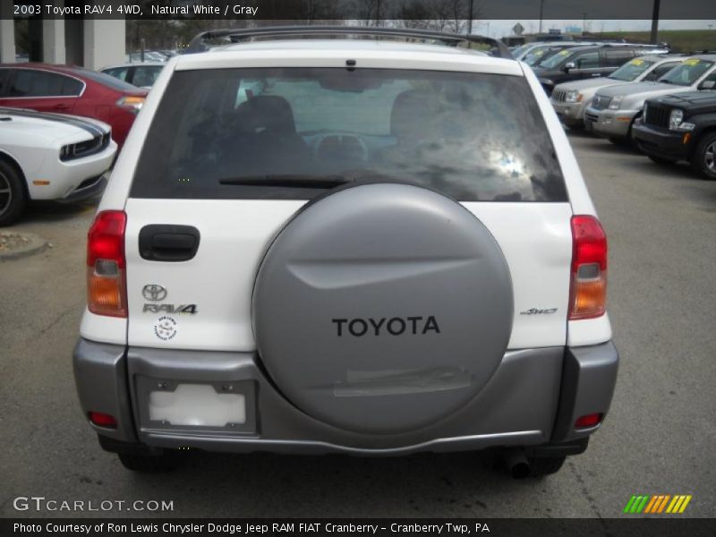 Natural White / Gray 2003 Toyota RAV4 4WD