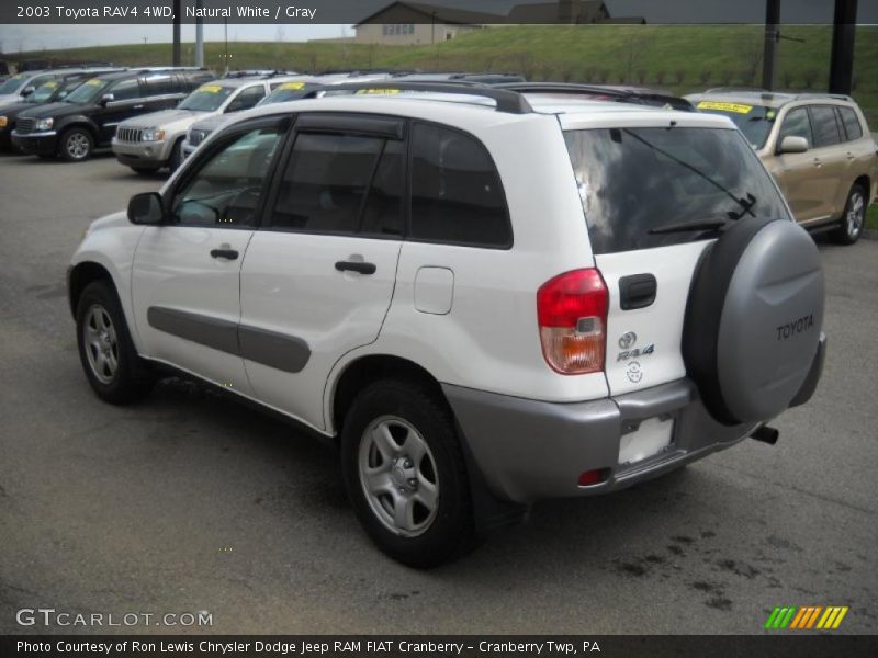 Natural White / Gray 2003 Toyota RAV4 4WD