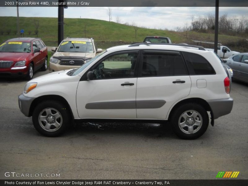 Natural White / Gray 2003 Toyota RAV4 4WD