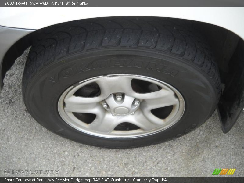 Natural White / Gray 2003 Toyota RAV4 4WD
