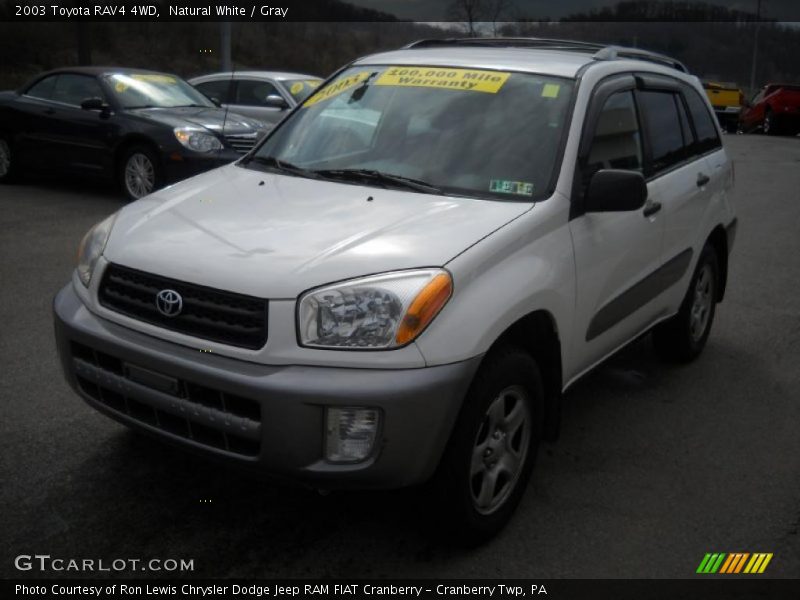 Natural White / Gray 2003 Toyota RAV4 4WD