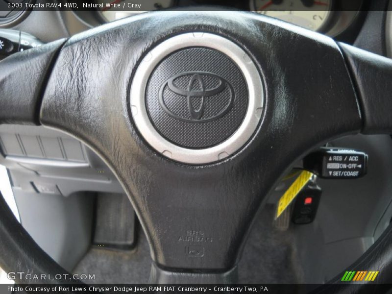 Natural White / Gray 2003 Toyota RAV4 4WD