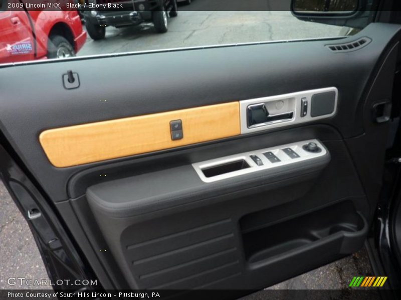 Door Panel of 2009 MKX 