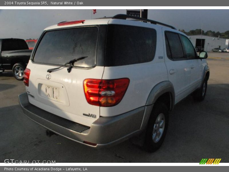 Natural White / Oak 2004 Toyota Sequoia SR5