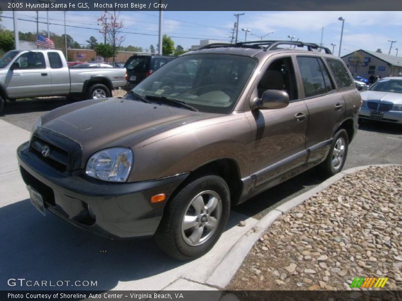 Mocha Frost Beige / Gray 2005 Hyundai Santa Fe GLS