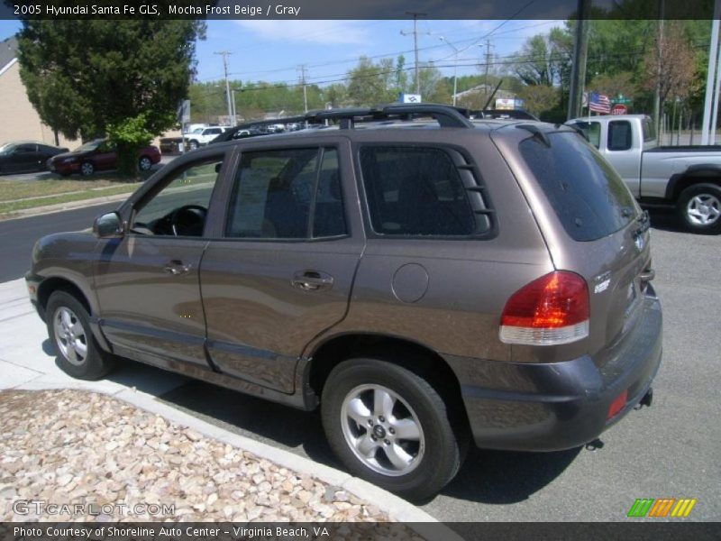 Mocha Frost Beige / Gray 2005 Hyundai Santa Fe GLS