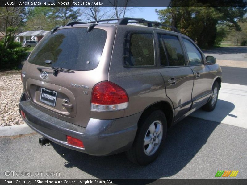 Mocha Frost Beige / Gray 2005 Hyundai Santa Fe GLS