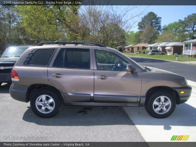 Mocha Frost Beige / Gray 2005 Hyundai Santa Fe GLS