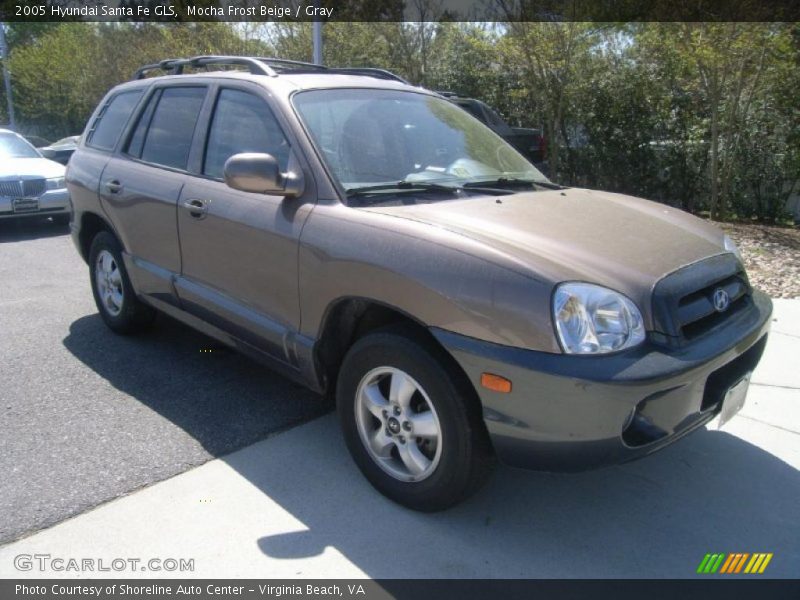 Mocha Frost Beige / Gray 2005 Hyundai Santa Fe GLS