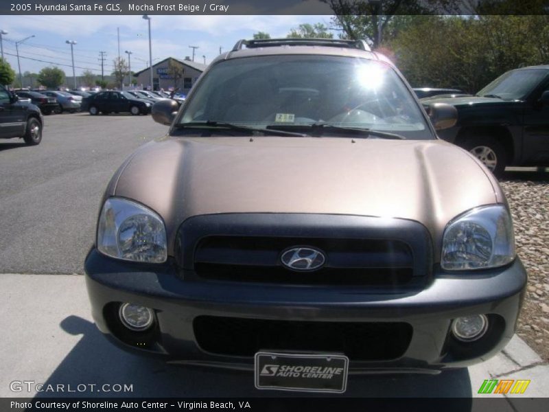 Mocha Frost Beige / Gray 2005 Hyundai Santa Fe GLS