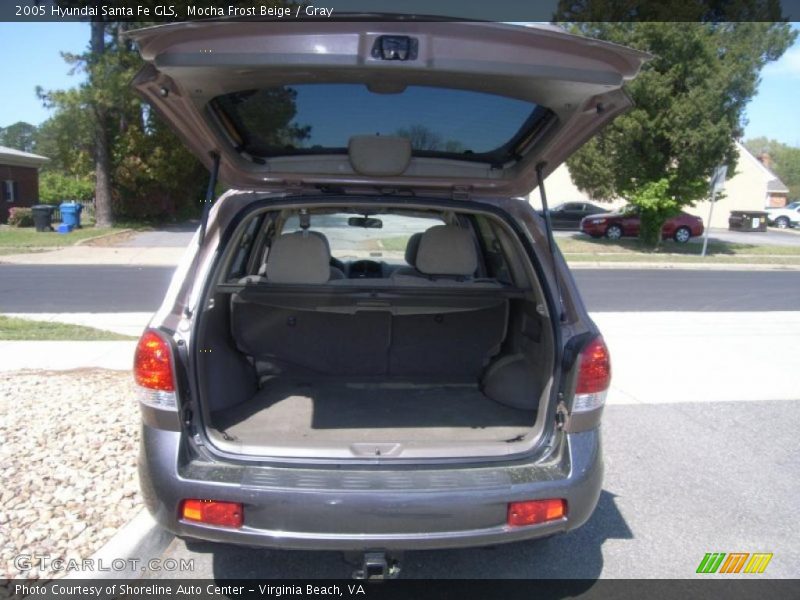 Mocha Frost Beige / Gray 2005 Hyundai Santa Fe GLS