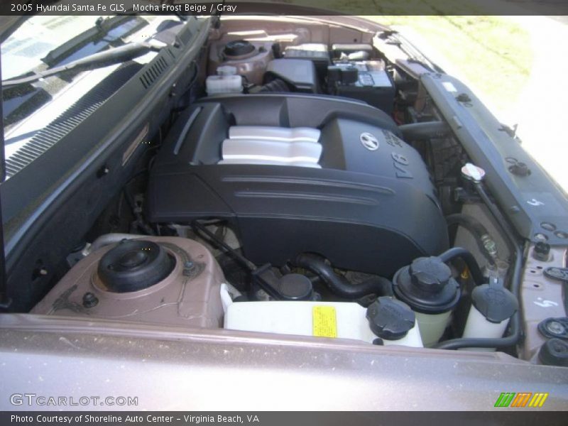 Mocha Frost Beige / Gray 2005 Hyundai Santa Fe GLS