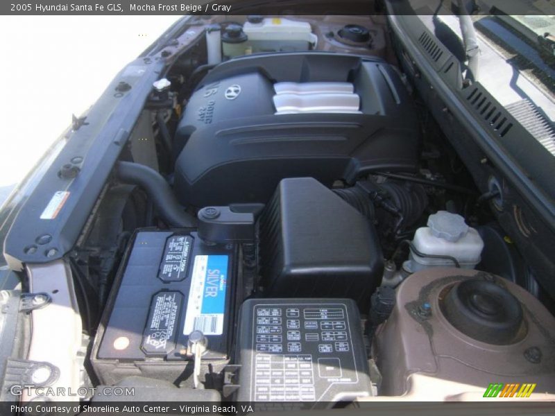 Mocha Frost Beige / Gray 2005 Hyundai Santa Fe GLS