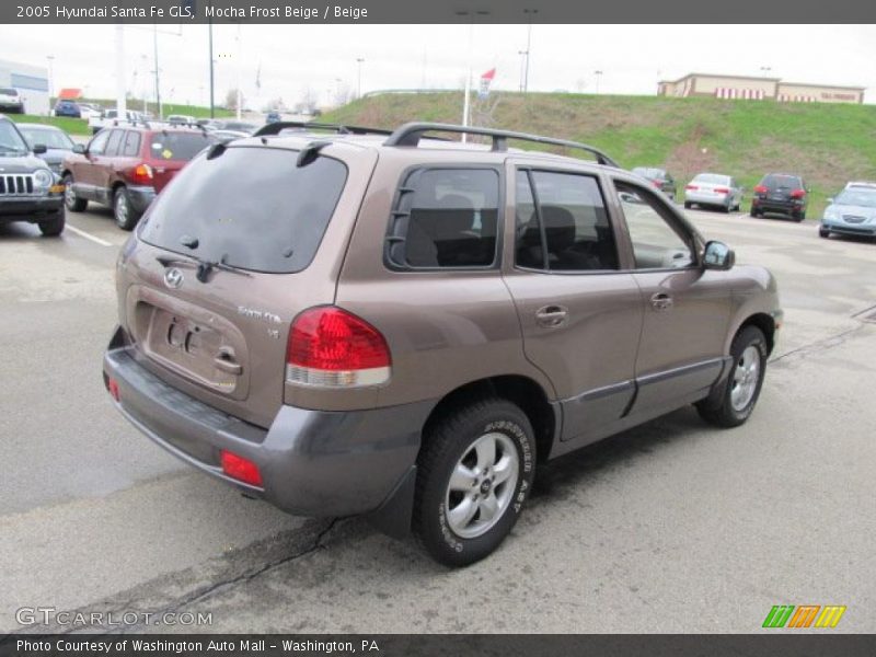 Mocha Frost Beige / Beige 2005 Hyundai Santa Fe GLS