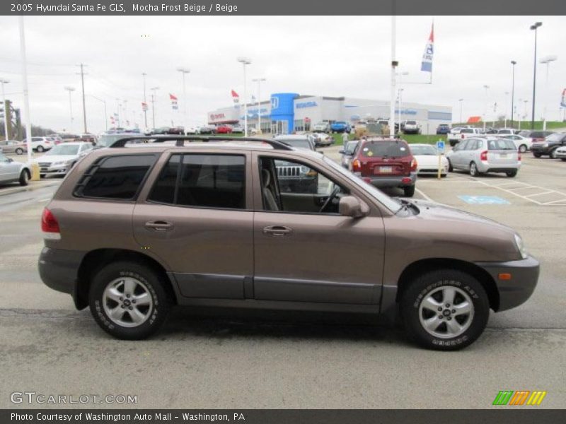 Mocha Frost Beige / Beige 2005 Hyundai Santa Fe GLS
