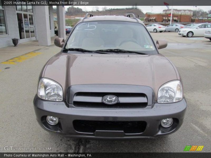Mocha Frost Beige / Beige 2005 Hyundai Santa Fe GLS