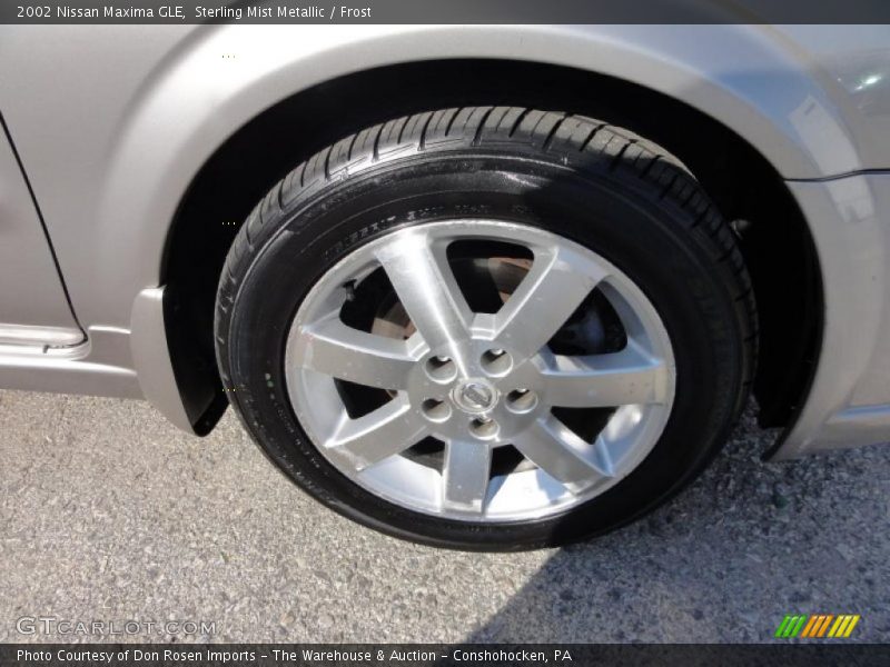Sterling Mist Metallic / Frost 2002 Nissan Maxima GLE