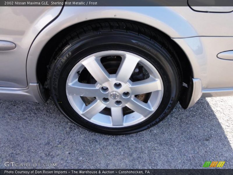Sterling Mist Metallic / Frost 2002 Nissan Maxima GLE