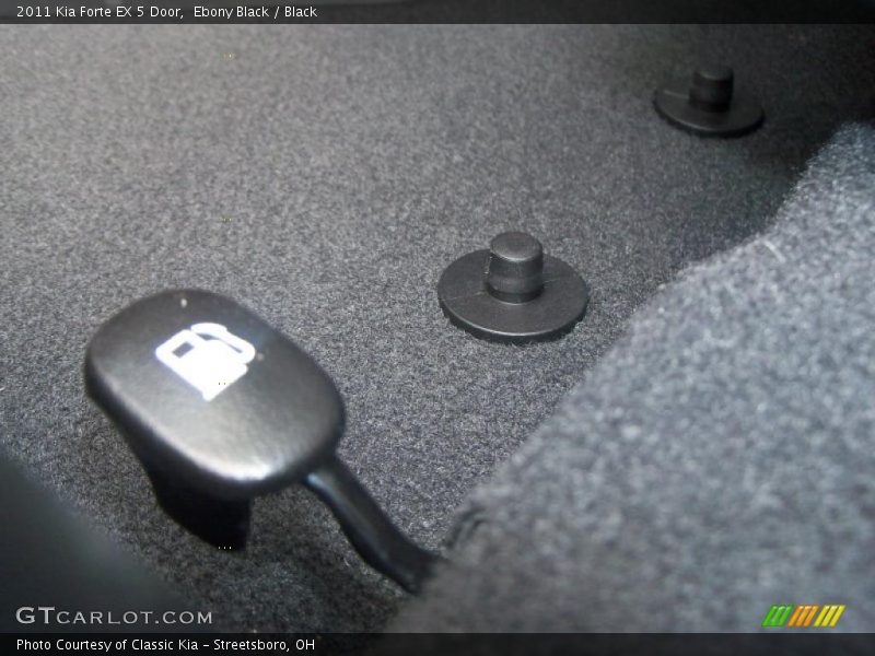 Ebony Black / Black 2011 Kia Forte EX 5 Door