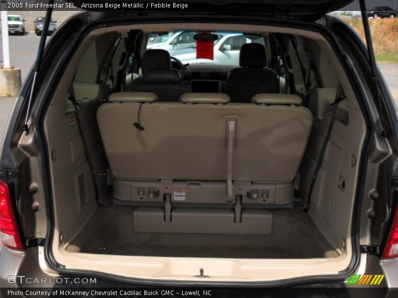 Arizona Beige Metallic / Pebble Beige 2005 Ford Freestar SEL