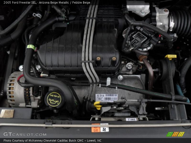 Arizona Beige Metallic / Pebble Beige 2005 Ford Freestar SEL