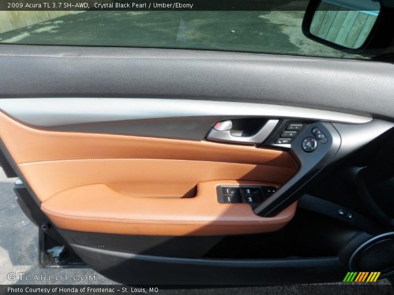 Door Panel of 2009 TL 3.7 SH-AWD