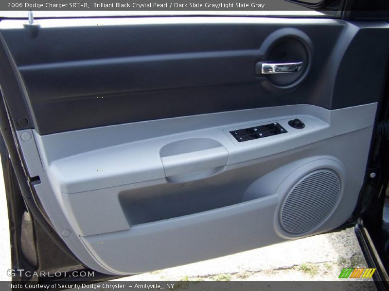 Door Panel of 2006 Charger SRT-8