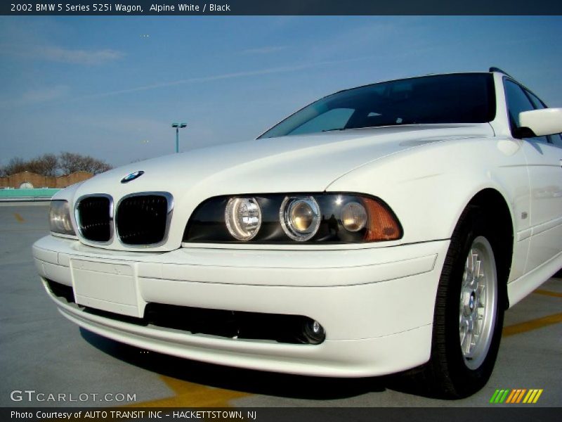 Alpine White / Black 2002 BMW 5 Series 525i Wagon