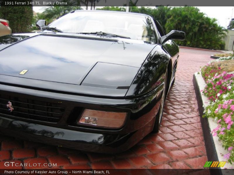 Black / Crema 1991 Ferrari 348 TS