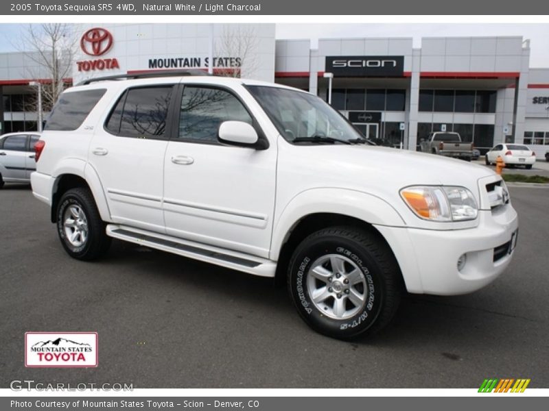 Natural White / Light Charcoal 2005 Toyota Sequoia SR5 4WD
