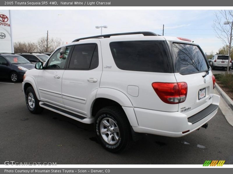 Natural White / Light Charcoal 2005 Toyota Sequoia SR5 4WD