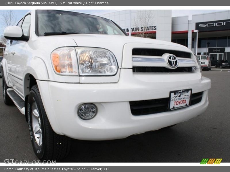 Natural White / Light Charcoal 2005 Toyota Sequoia SR5 4WD