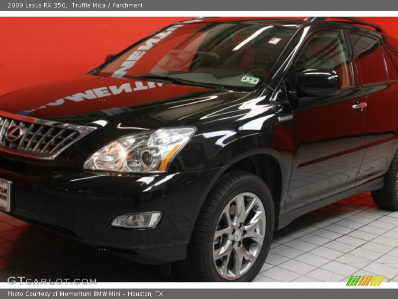 Truffle Mica / Parchment 2009 Lexus RX 350