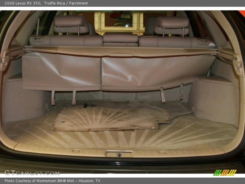 Truffle Mica / Parchment 2009 Lexus RX 350