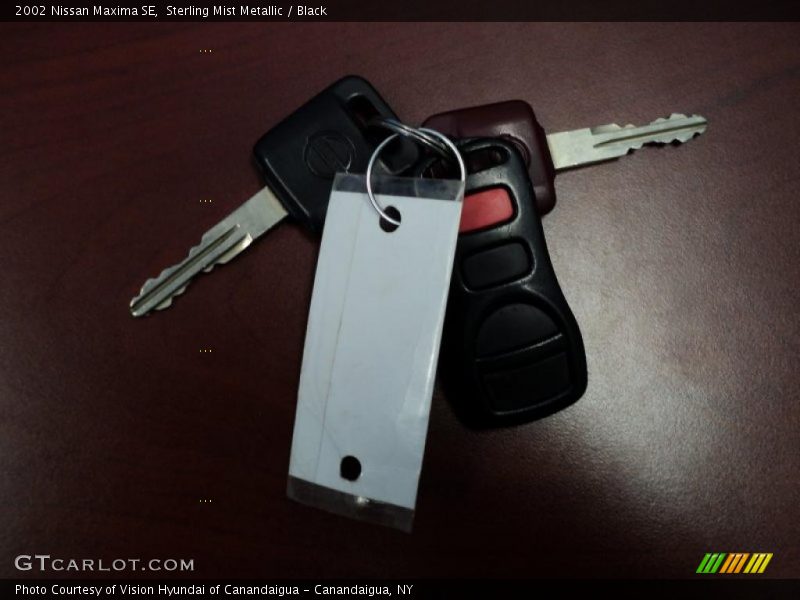 Sterling Mist Metallic / Black 2002 Nissan Maxima SE
