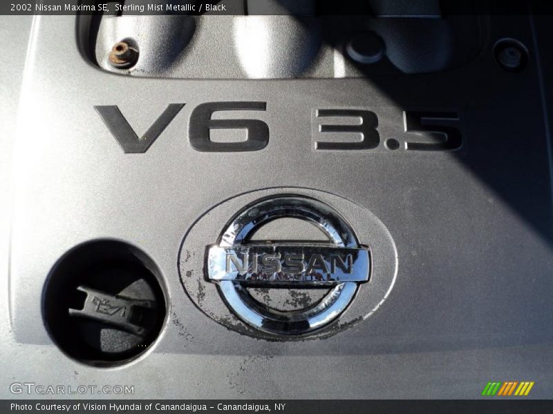 Sterling Mist Metallic / Black 2002 Nissan Maxima SE