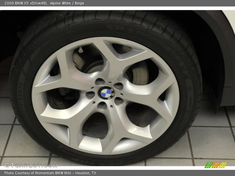 Alpine White / Beige 2009 BMW X5 xDrive48i