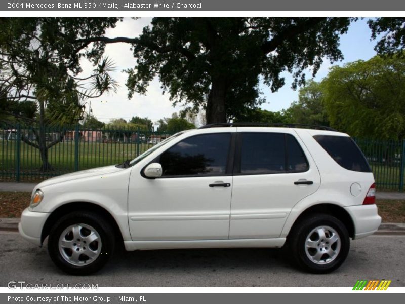 Alabaster White / Charcoal 2004 Mercedes-Benz ML 350 4Matic