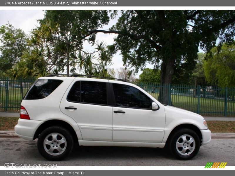 Alabaster White / Charcoal 2004 Mercedes-Benz ML 350 4Matic