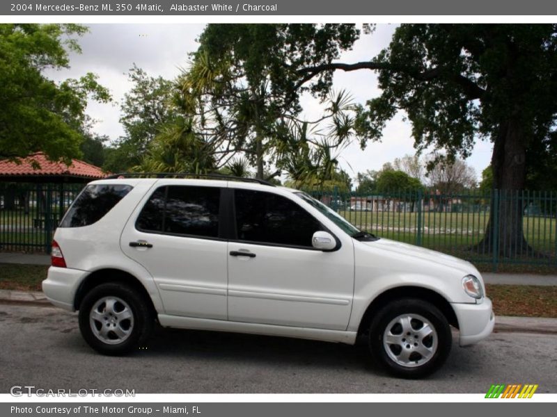 Alabaster White / Charcoal 2004 Mercedes-Benz ML 350 4Matic