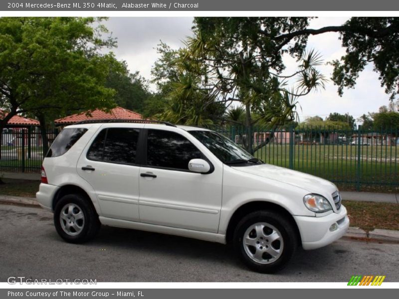 Alabaster White / Charcoal 2004 Mercedes-Benz ML 350 4Matic