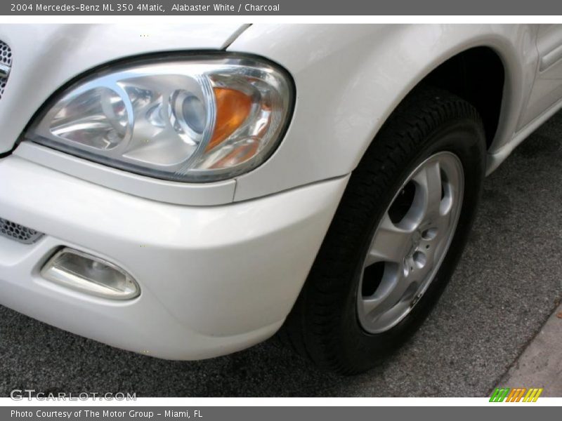 Alabaster White / Charcoal 2004 Mercedes-Benz ML 350 4Matic