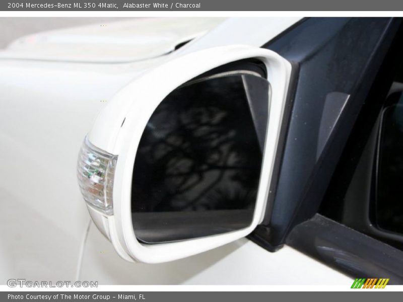 Alabaster White / Charcoal 2004 Mercedes-Benz ML 350 4Matic