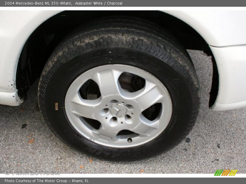 Alabaster White / Charcoal 2004 Mercedes-Benz ML 350 4Matic