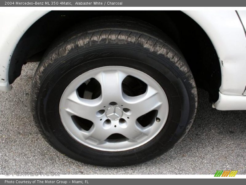Alabaster White / Charcoal 2004 Mercedes-Benz ML 350 4Matic