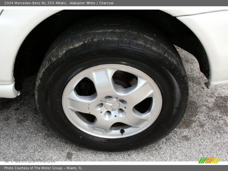 Alabaster White / Charcoal 2004 Mercedes-Benz ML 350 4Matic