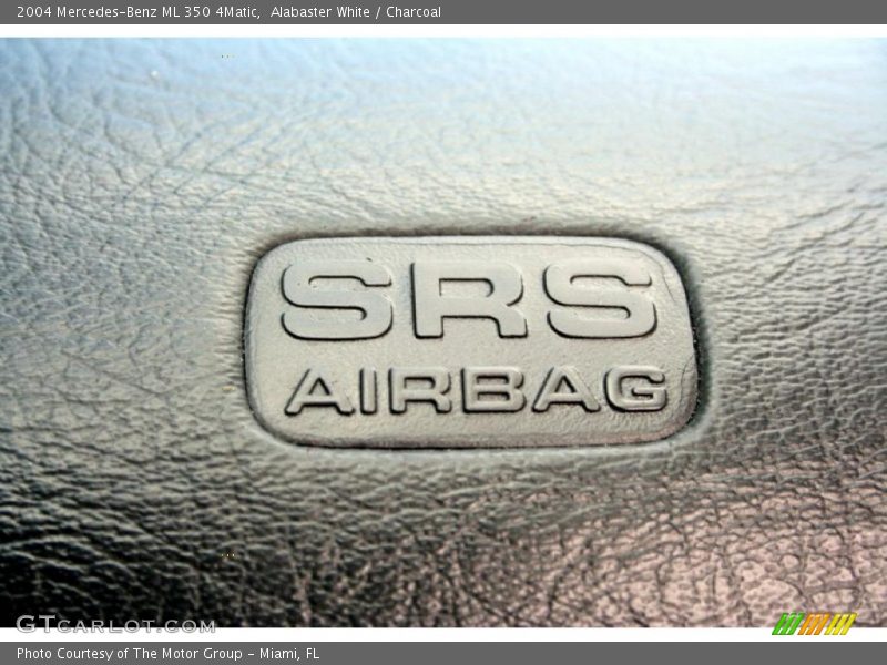 Alabaster White / Charcoal 2004 Mercedes-Benz ML 350 4Matic