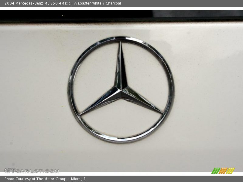 Alabaster White / Charcoal 2004 Mercedes-Benz ML 350 4Matic