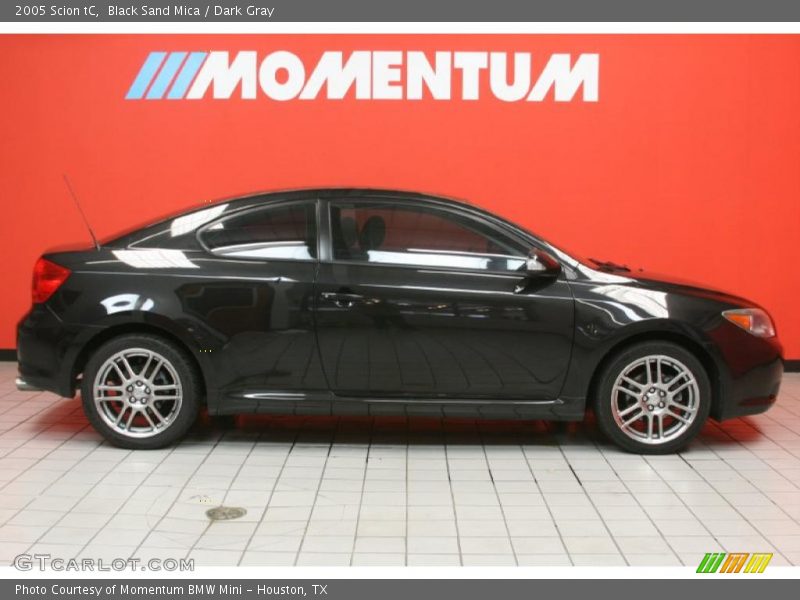 Black Sand Mica / Dark Gray 2005 Scion tC