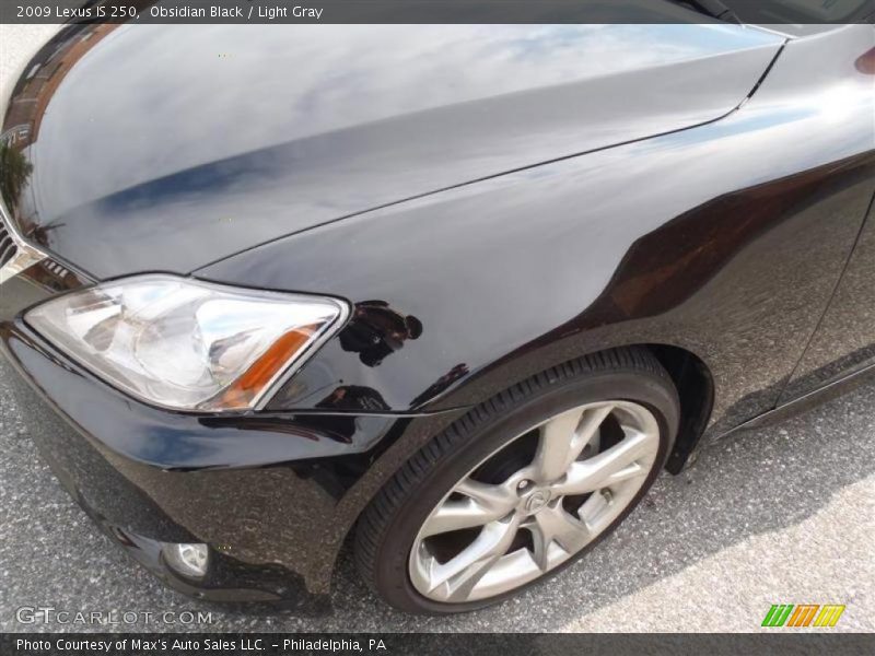 Obsidian Black / Light Gray 2009 Lexus IS 250